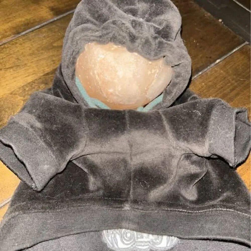 RARE Scottie Doggy Juicy Couture Velour Hoodie Size XS EUC